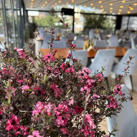 Joni 4* كساميل