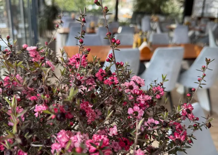 Joni 4* 卡萨米尔